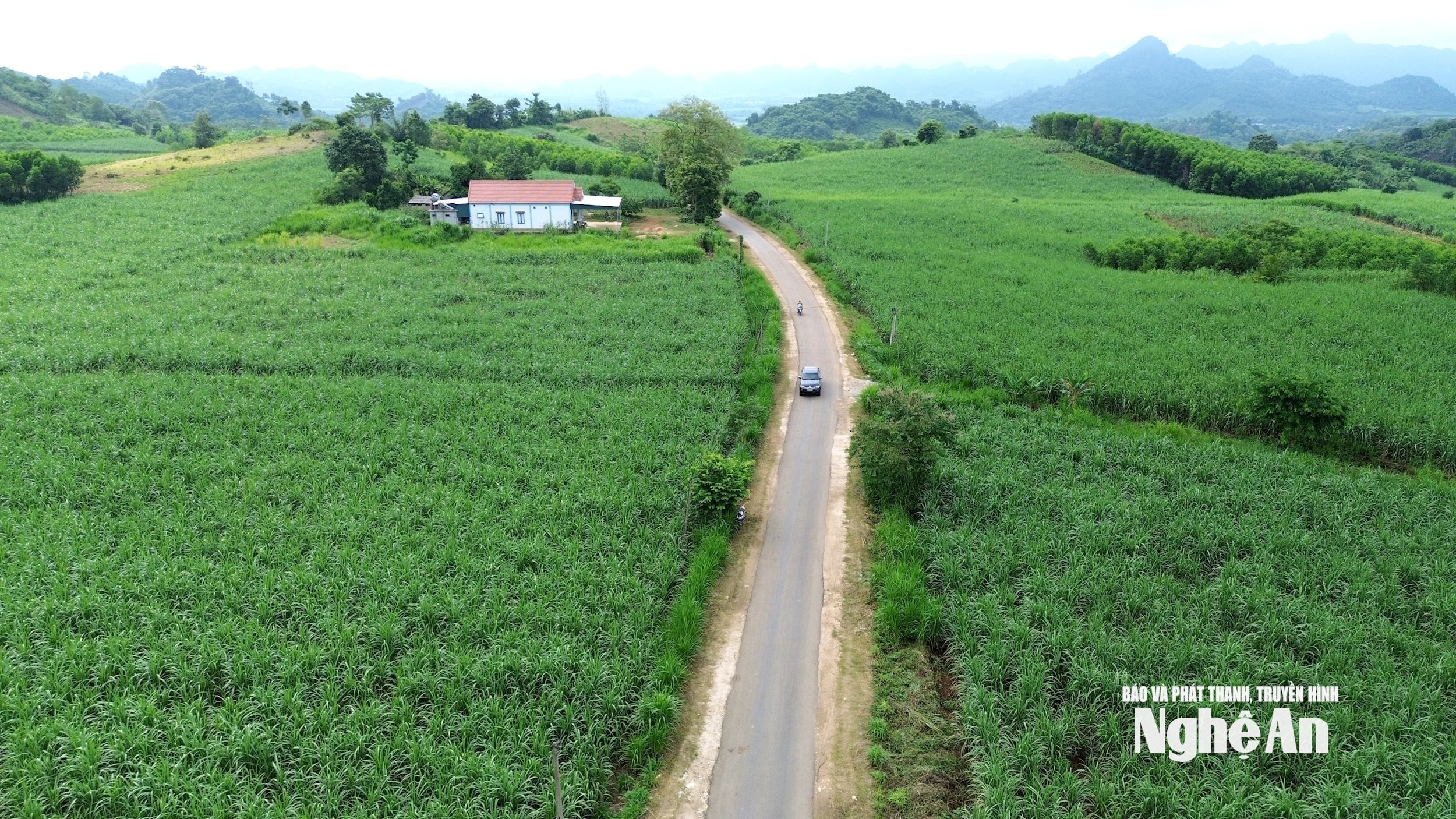 bna_mia3.jpg সম্পর্কে