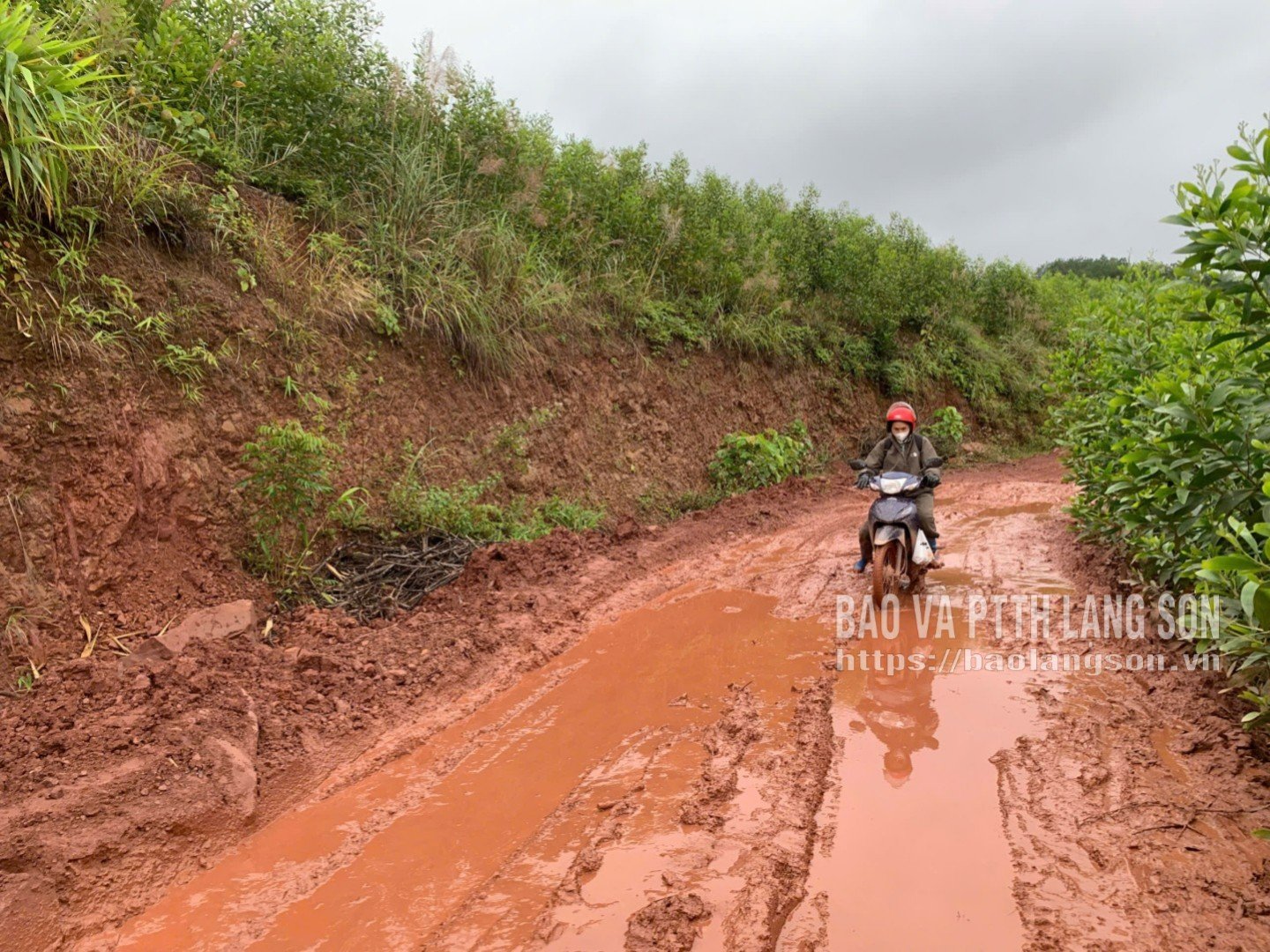 ເສັ້ນທາງດິນຈີ່ຜ່ານບ້ານ ນາຊອມ ມີຂີ້ຕົມທຸກຄັ້ງທີ່ຝົນຕົກ ເຮັດໃຫ້ຄົນໄປມາຫາຍາກ.