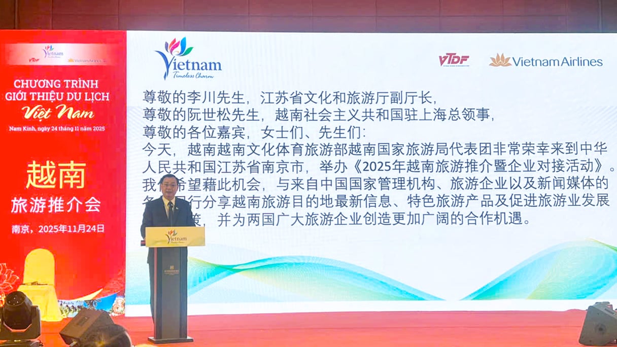 Giới thiệu du lịch Việt Nam tại Nam Kinh (Trung Quốc): Điểm hẹn giao lưu hợp tác văn hóa - du lịch - Ảnh 1.