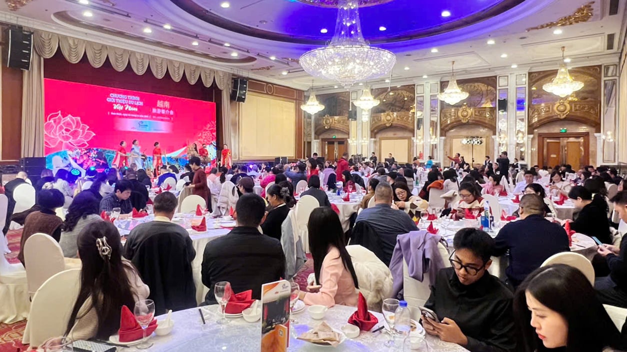 Giới thiệu du lịch Việt Nam tại Nam Kinh (Trung Quốc): Điểm hẹn giao lưu hợp tác văn hóa - du lịch - Ảnh 7.