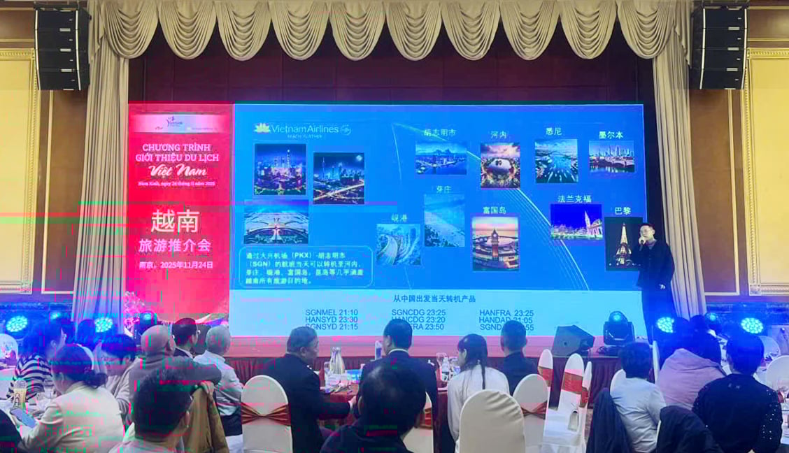 Giới thiệu du lịch Việt Nam tại Nam Kinh (Trung Quốc): Điểm hẹn giao lưu hợp tác văn hóa - du lịch - Ảnh 9.