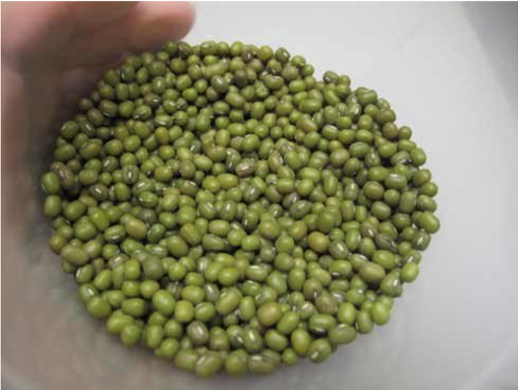 bữa ăn - Ảnh 1.