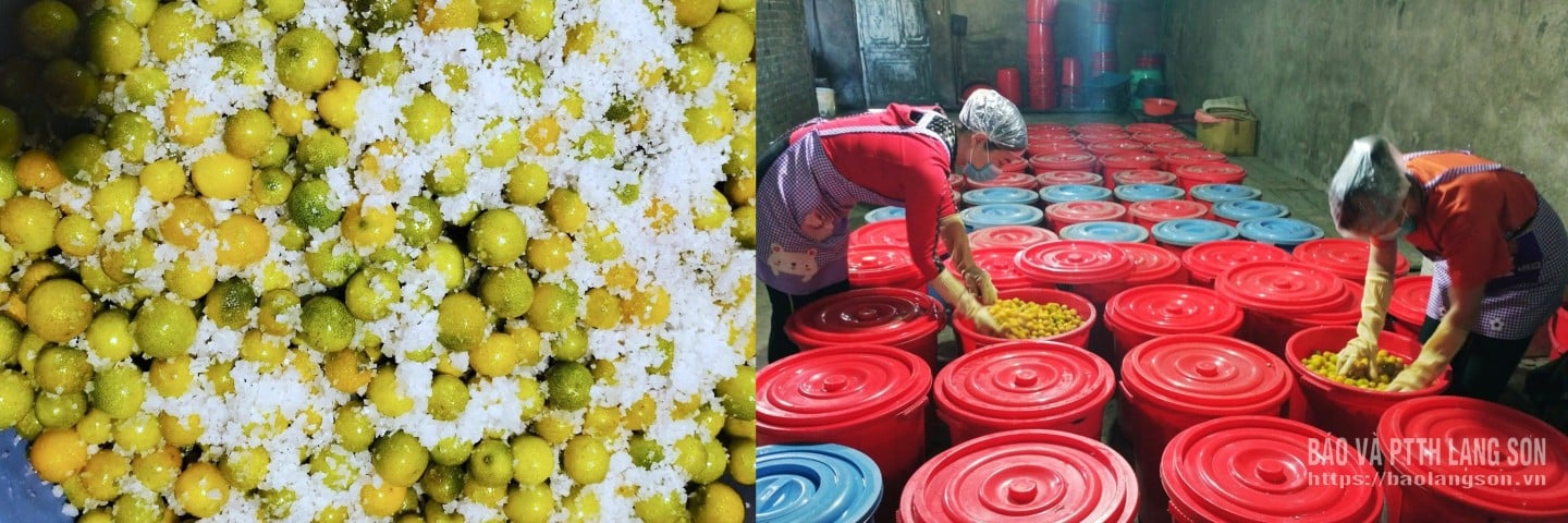 Po sklizni se divoké citrony pečlivě vybírají, třídí, omyjí a suší. Následně se plody namáčejí v soli v poměru, který vychází z místních znalostí a tajného receptu kmene Dao Mau Son, a poté se odstraní semínka. Díky tomu si sušené plody zachovávají vysoký obsah vitamínů a jsou zcela přírodní.