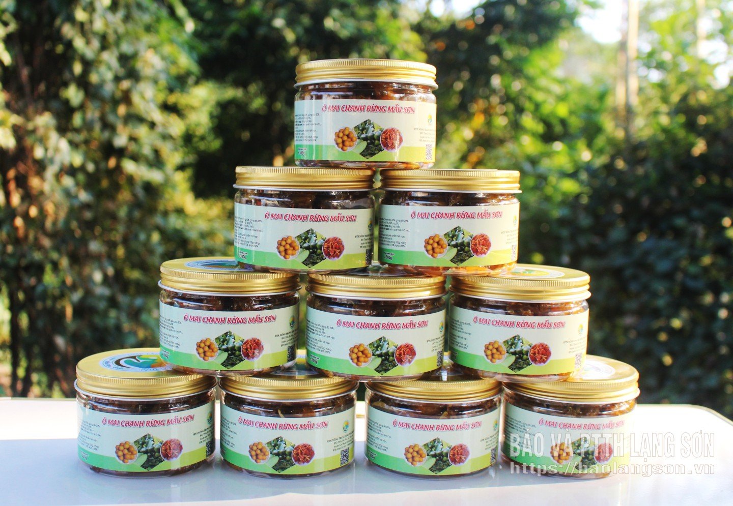 V roce 2022 bude džem z divokých citronů Mau Son oceněn jako tříhvězdičkový OCOP, což otevře příležitosti k uvedení produktu na specializované regály a do širšího distribučního řetězce. Se současnou prodejní cenou 100 000 VND/krabice představuje produkt stabilní zdroj příjmů pro družstvo i pěstitele divokých citronů. Standardizace výrobního procesu, sledování původu a investice do balení také pomáhají tomu, aby se džem z divokých citronů stal typickým produktem ve skupině zpracovaných zemědělských produktů ekologického zemědělského družstva Mau Son.