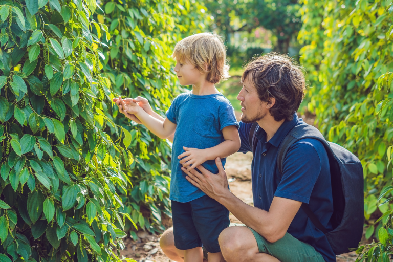 Zdjęcie 7 miejsc, które trzeba zobaczyć na wyspie Phu Quoc nr 5