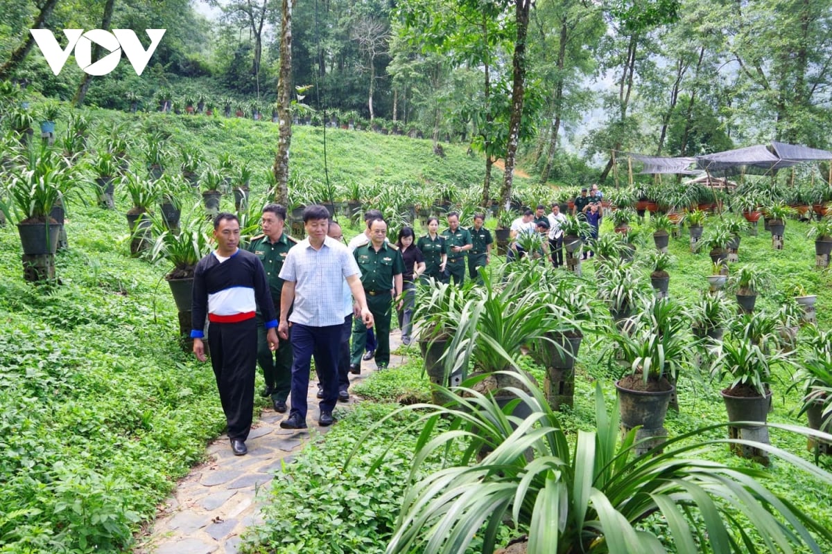 Lai Châu bứt phá du lịch cộng đồng từ “điểm tựa vàng” văn hóa - Ảnh 3.
