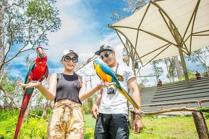 Návštěvníci si mohou užít krmení žiraf v parku Vinpearl Safari Phu Quoc.