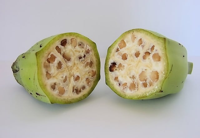 Cách dùng củ ráy hỗ trợ hạ axit uric - Ảnh 3.