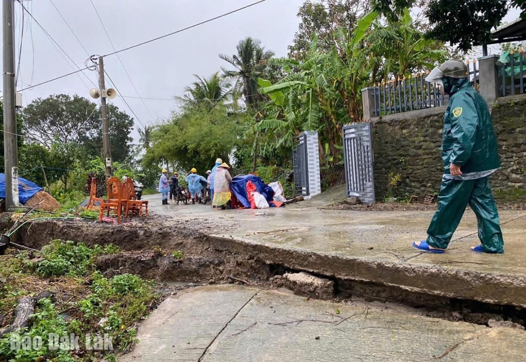 Tanahnya terkikis parah.