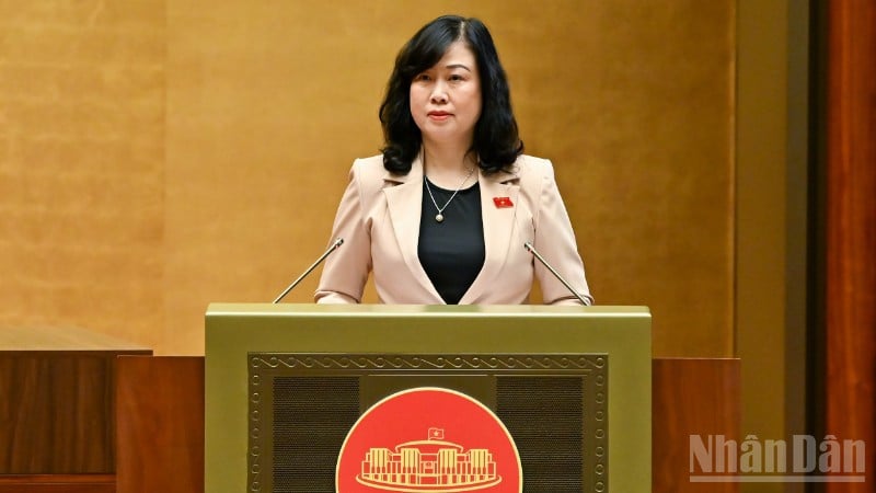 รัฐมนตรีว่าการกระทรวงสาธารณสุข เดา ฮง หลาน นำเสนอสรุปรายงาน (ภาพ: DUY LINH)