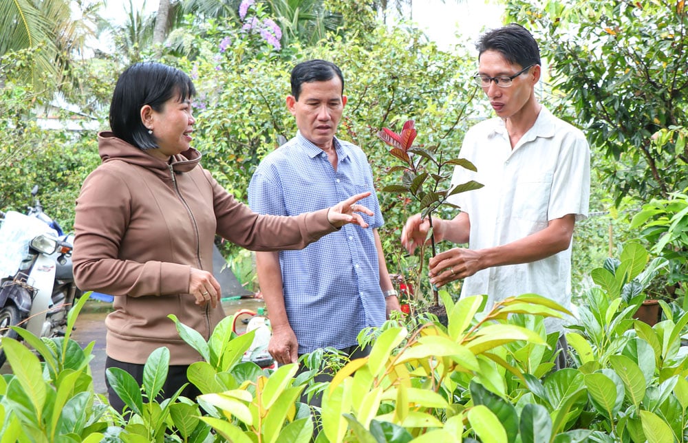 Ο κ. Nguyen Duc Luan - Διευθυντής του Συνεταιρισμού Γεωργικών Υπηρεσιών An Truong (δεξιά) παρουσιάζει νέες ποικιλίες φυτών στο φυτώριο.