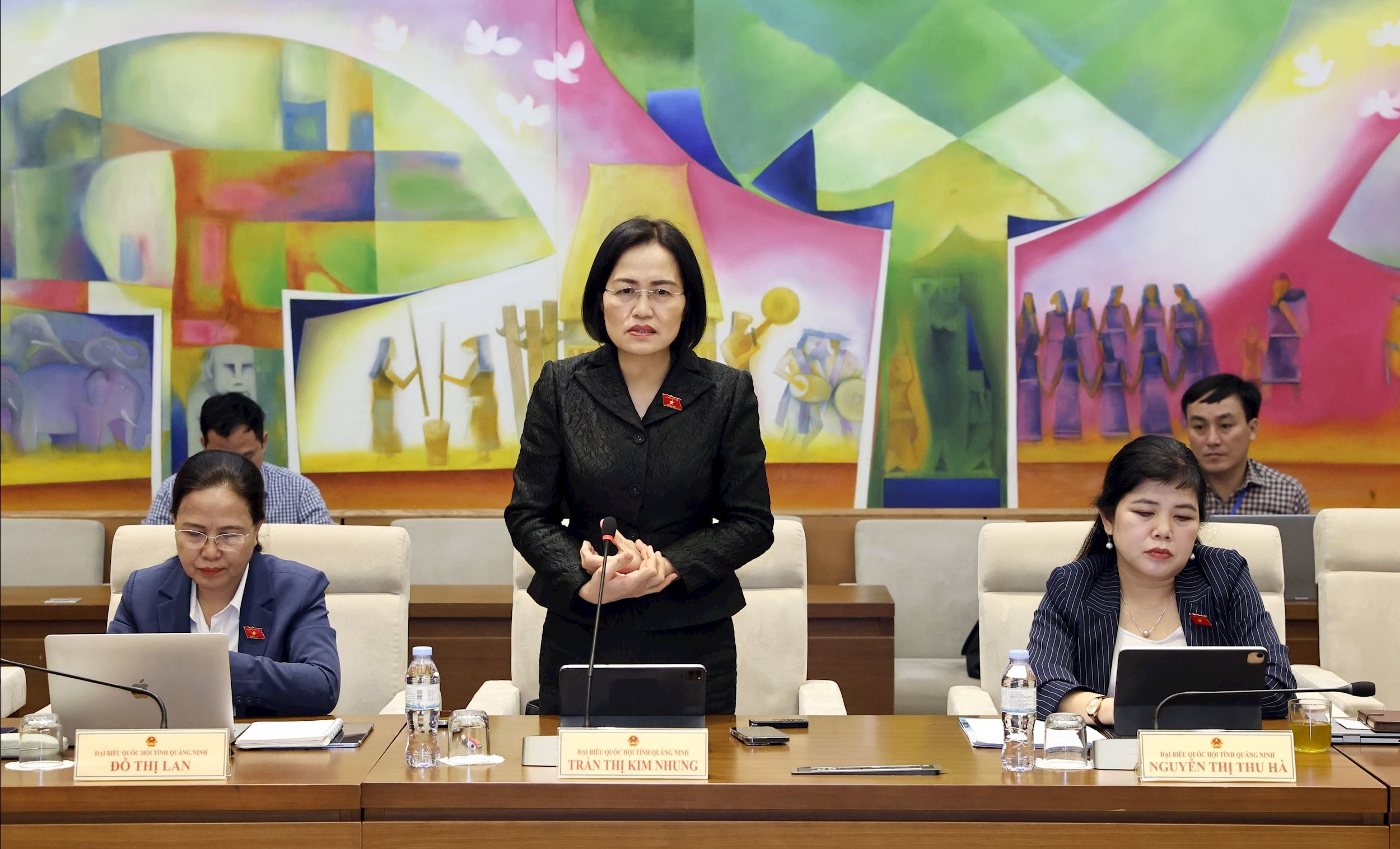 Виступає делегат Національних зборів Тран Тхі Кім Нунг (Куангнінь)