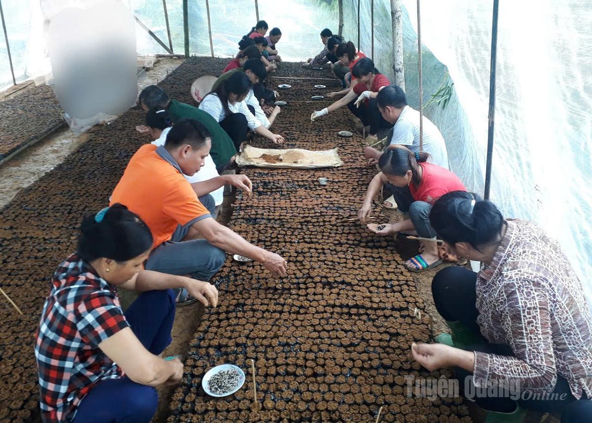 Praktijkuur bosbouw.