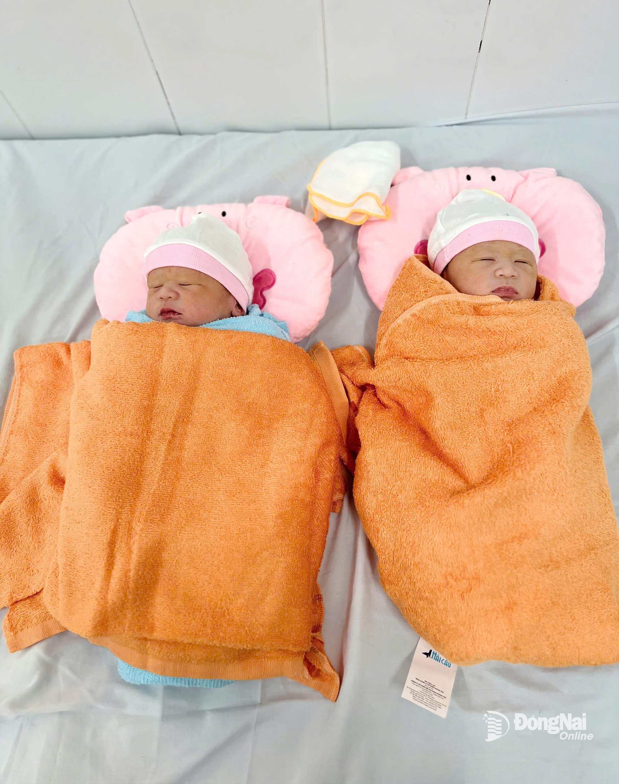 Dois gêmeos, cada um pesando 3 kg, nasceram saudáveis. Foto: Colaborador