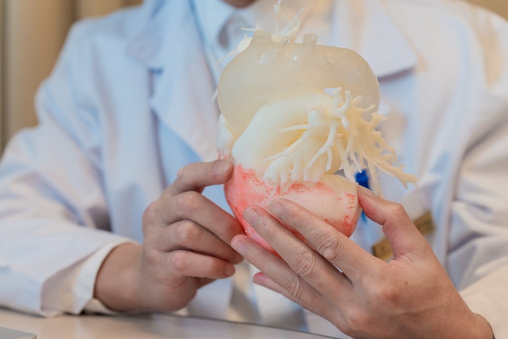 ការជំនួសសន្ទះ aortic percutaneous ដោយប្រើបច្ចេកវិទ្យាបោះពុម្ព 3D ផ្ទាល់ខ្លួន - 1