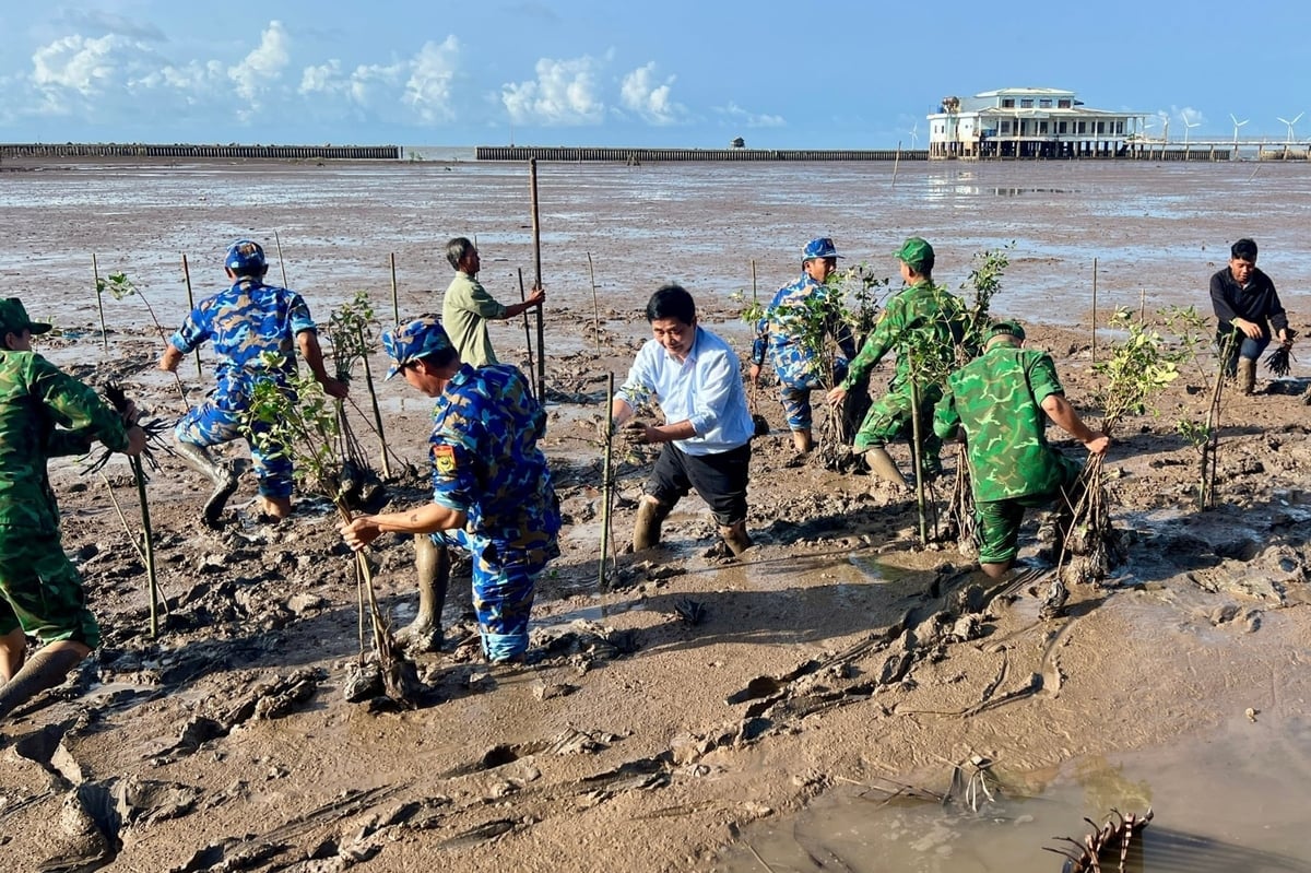 Hoạt động trồng rừng của Quỹ Cộng đồng Phòng, tránh thiên tai. Ảnh: QPT.