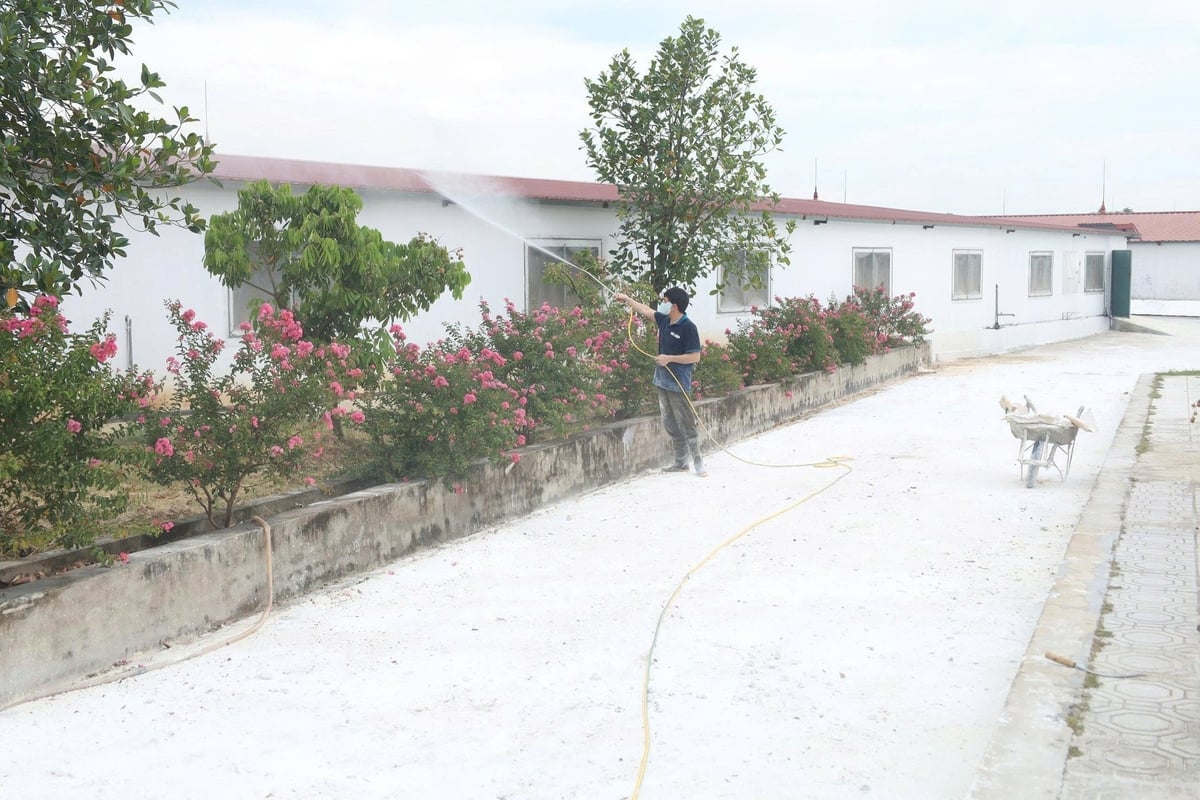 Nông dân Phú Thọ với mô hình chăn nuôi an toàn sinh học. Ảnh: PT.