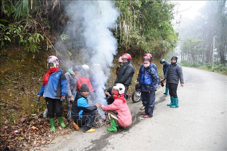 写真のキャプション