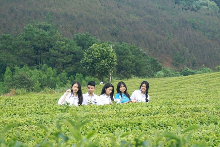 ຫັນ​ໃບ​ຊາ​ເກົ່າ​ໃຫ້​ກາຍ​ເປັນ​ຜະ​ລິດ​ຕະ​ພັນ​ທີ່​ເປັນ​ມິດ​ກັບ​ສິ່ງ​ແວດ​ລ້ອມ - ຮູບ 2.