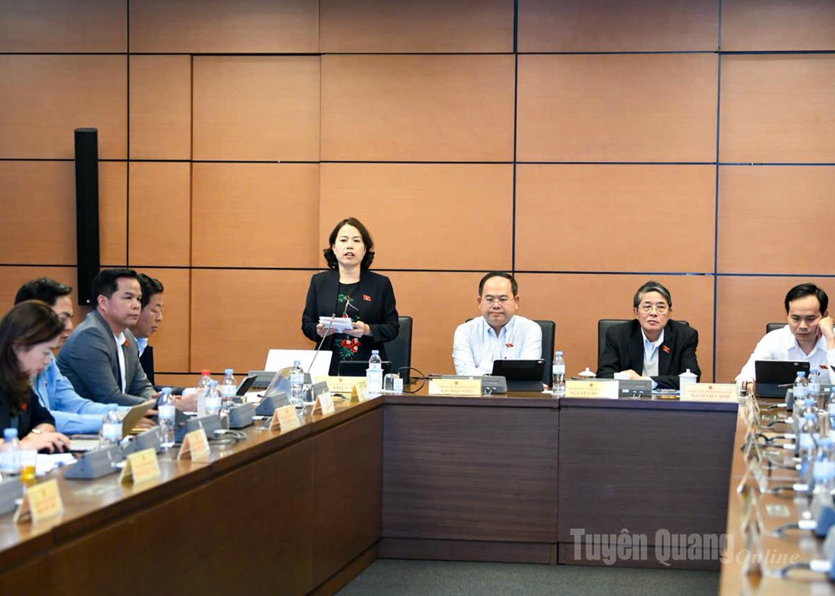 Đại biểu Lý Thị Lan phát biểu thảo luận