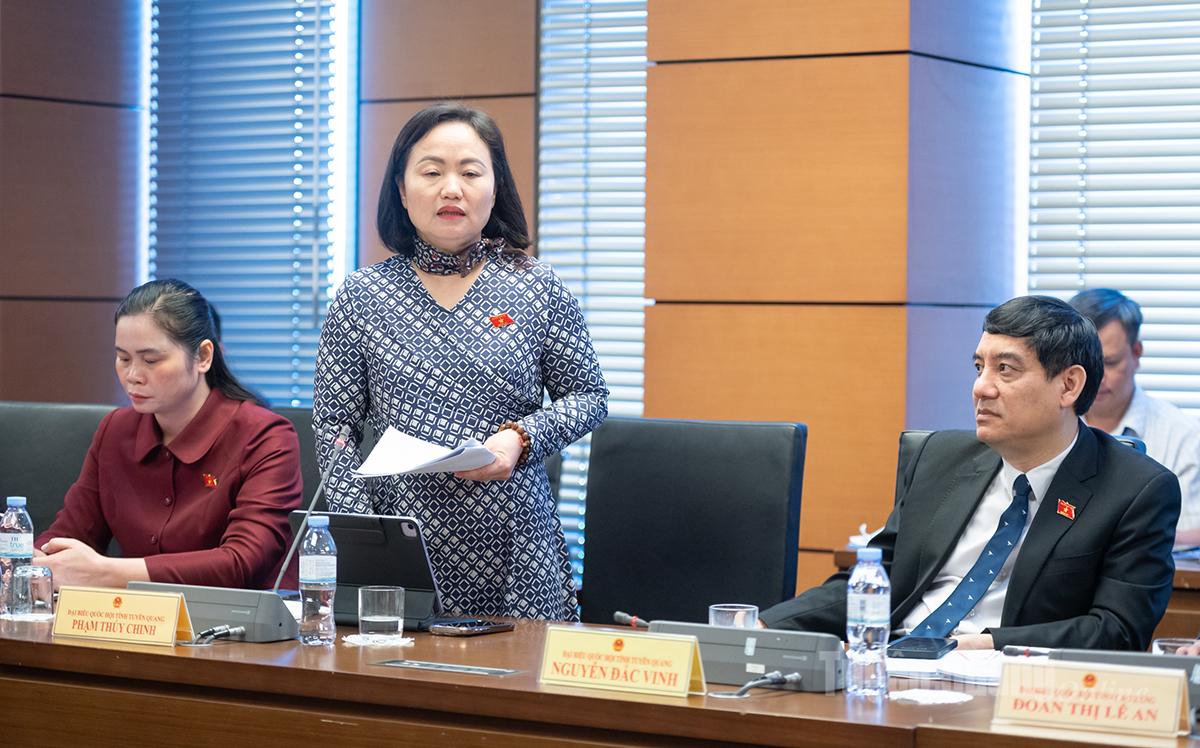 Đại biểu Phạm Thúy Chinh phát biểu thảo luận