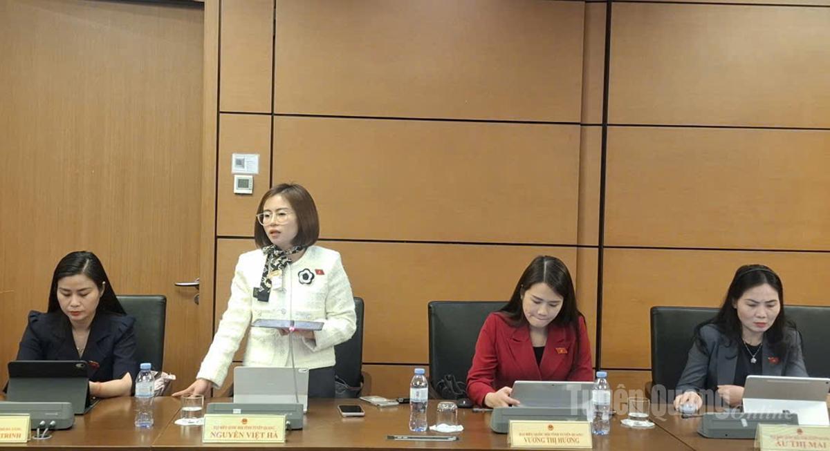 Đại biểu Nguyễn Việt Hà phát biểu thảo luận