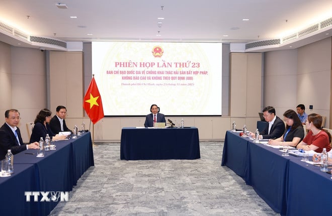 ttxvn-başbakan-BCD'nin yasadışı deniz ürünleri sömürüsüne karşı mücadele konulu 23. toplantısına başkanlık ediyor-8432427-2.jpg