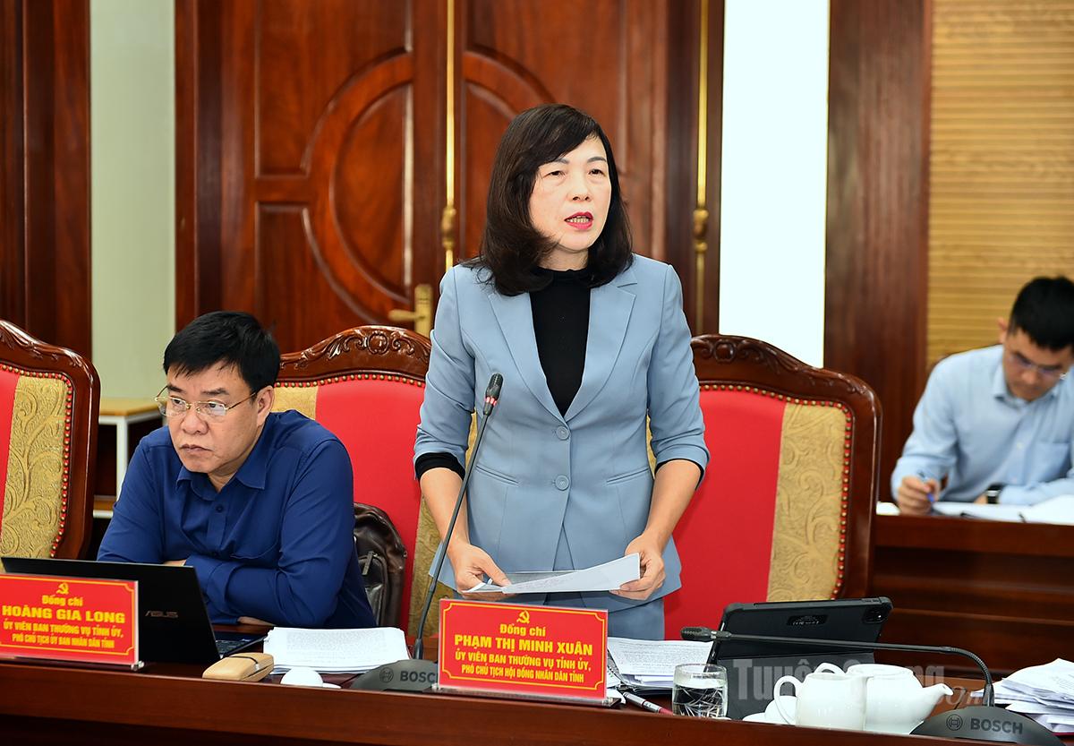 На конференції виступила заступниця голови Народної ради провінції Фам Тхі Мінь Суан.