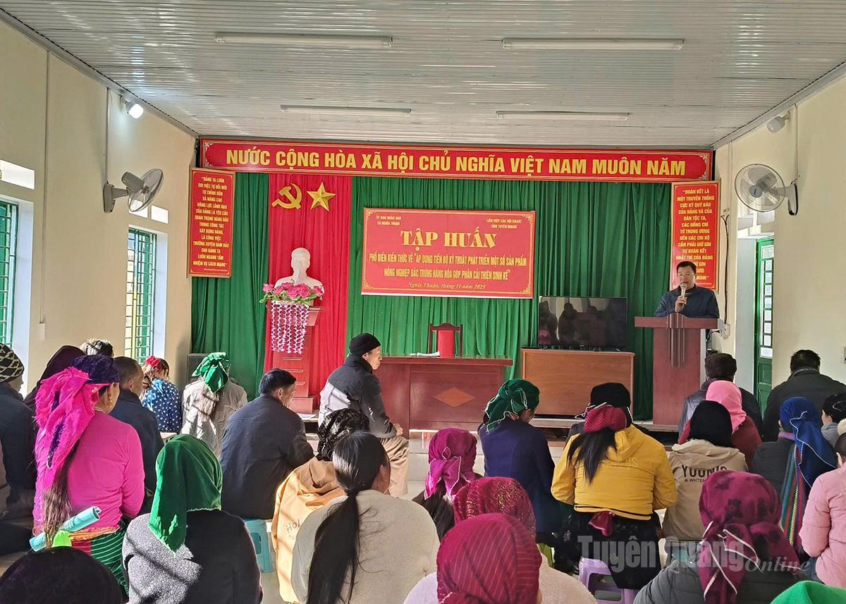 Eksperter formidler kunnskap til folk om hvordan man kan anvende tekniske fremskritt for å utvikle noen typiske landbruksprodukter.