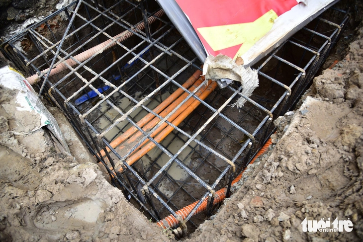 Viện Pasteur TP.HCM - Ảnh 5.