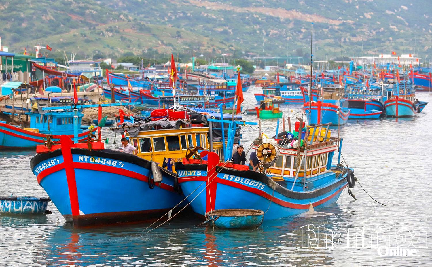 بحری جہاز نین چو بندرگاہ پر لنگر انداز ہوئے۔