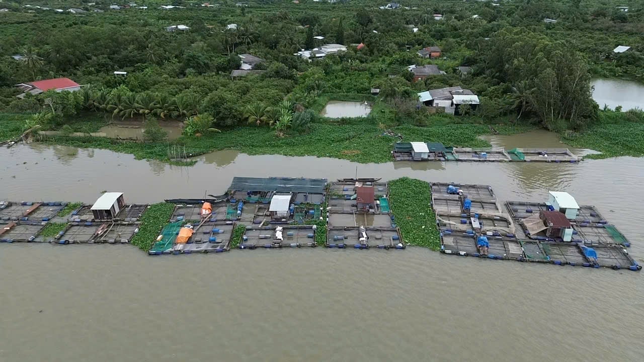 La construction de la digue destinée à prévenir les glissements de terrain sur les rives de la rivière Co Chien, dans la province de Cu Lao An Binh, est toujours impossible faute de terrain disponible. Photo : Ho Thao. Đoạn kè chống sạt lở bờ sông Cổ Chiên ở Cù lao An Bình hiện vẫn chưa thể thi công vì chưa có mặt bằng. Ảnh: Hồ Thảo.