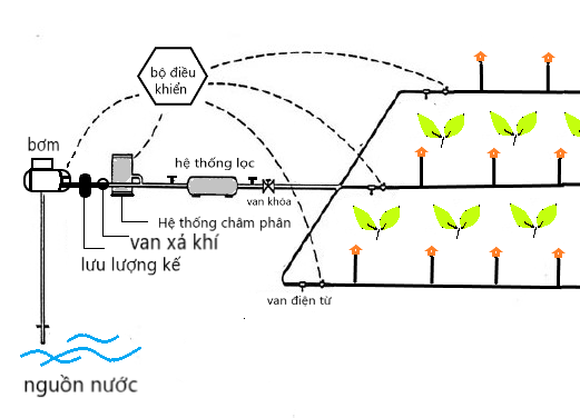 Khi công nghệ giúp nhà vườn làm nông chính xác và hiệu quả hơn- Ảnh 1.