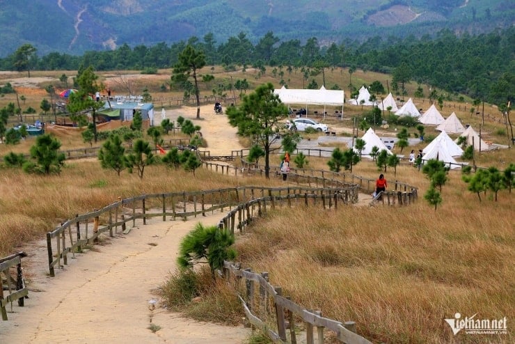 Phoenix Peak beleeft het mooiste seizoen van het jaar, wanneer het gras geleidelijk geel kleurt.
