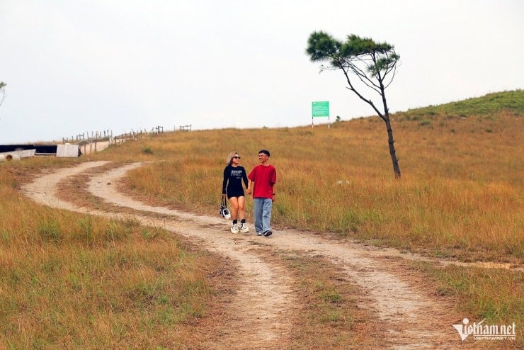 Vu Tuan Anh en haar familie zijn al meerdere keren op Phoenix Peak geweest, maar elke keer is het weer een nieuwe ervaring, omdat deze plek het hele jaar door prachtig is.