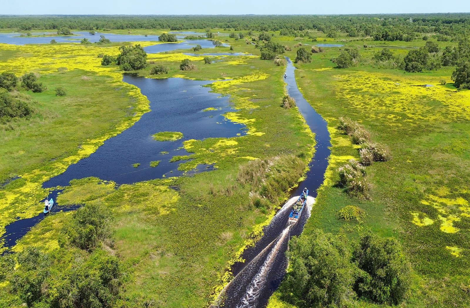 Salvarea animalelor rare în Parcul Național U Minh Thuong
