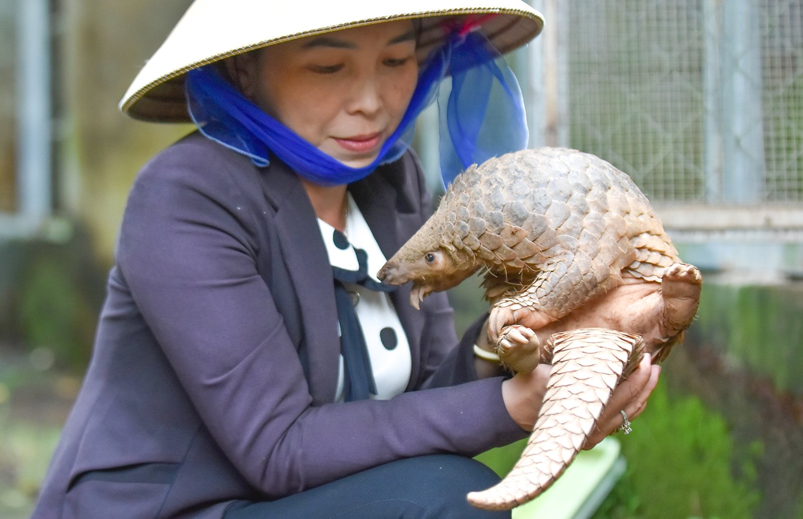 Salvarea animalelor rare în Parcul Național U Minh Thuong