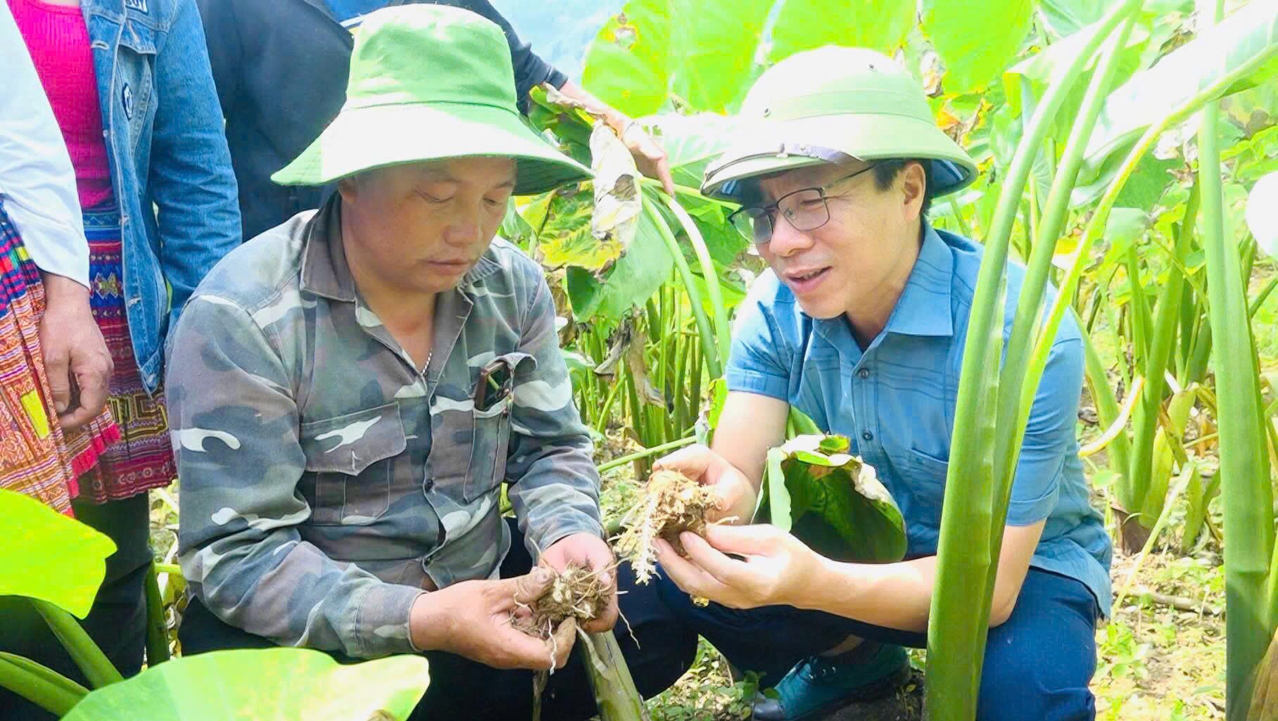 Đánh thức Phình Hồ - Ảnh 2.