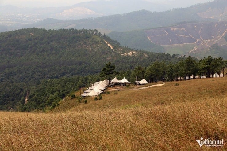 گھاس پہاڑ کے آدھے راستے پر نرم کشن کی طرح پیلی ہو جاتی ہے۔