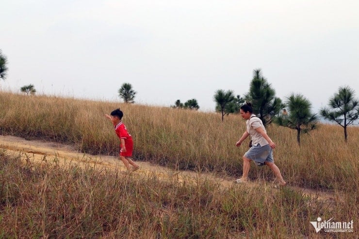 دوسرے لوگ اپنے اہل خانہ کے ساتھ شہر کی ہلچل کا تجربہ کرنے جاتے ہیں۔
