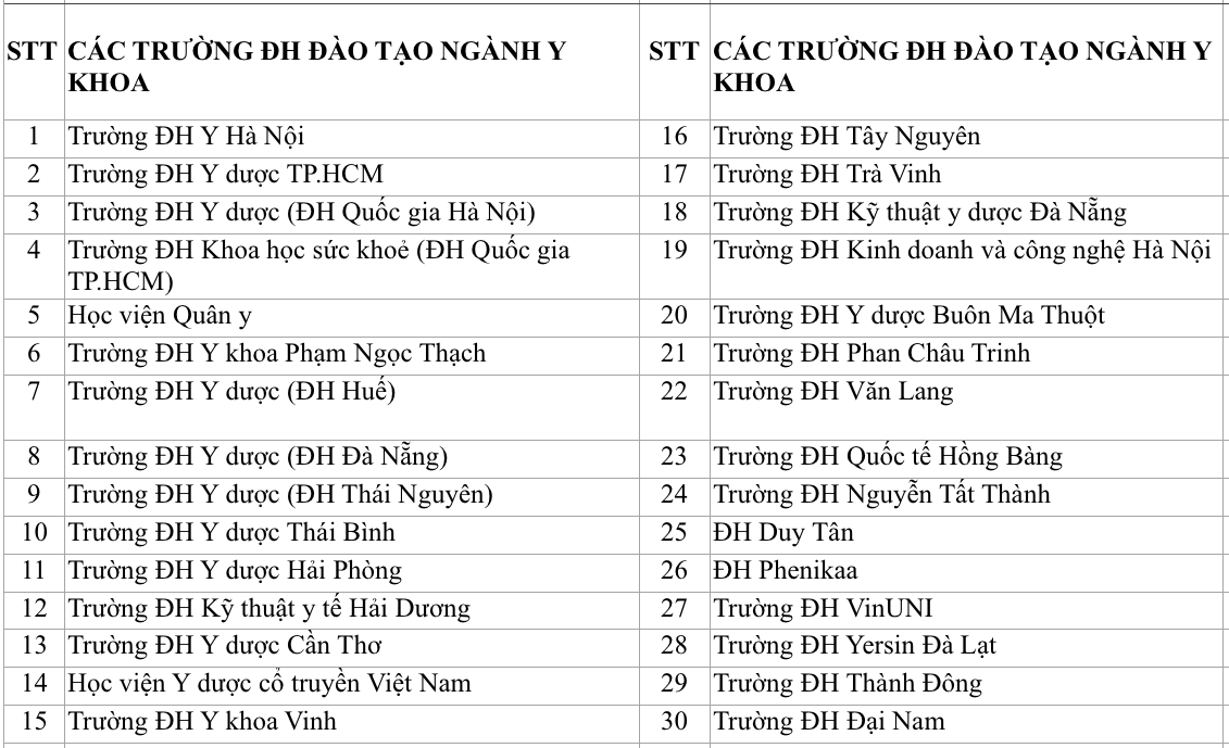 Hiện cả nước có bao nhiều trường đào tạo bác sĩ và luật sư? - Ảnh 2.