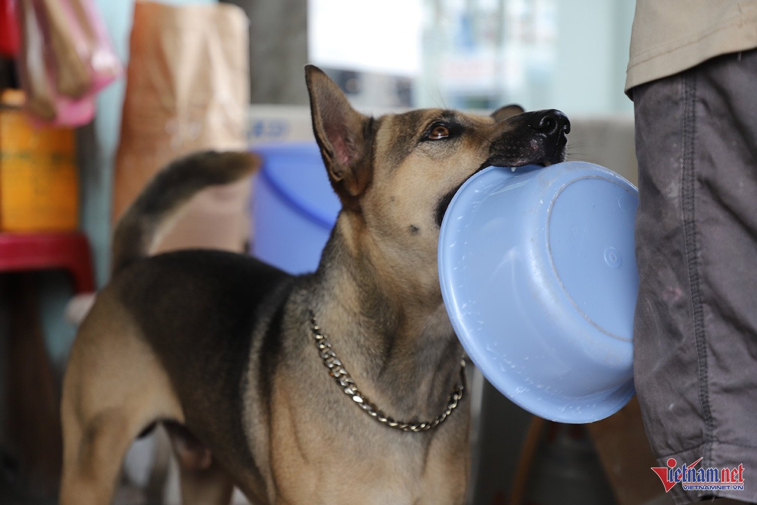 Kızarmış muz dükkanı 3.JPG.jpg