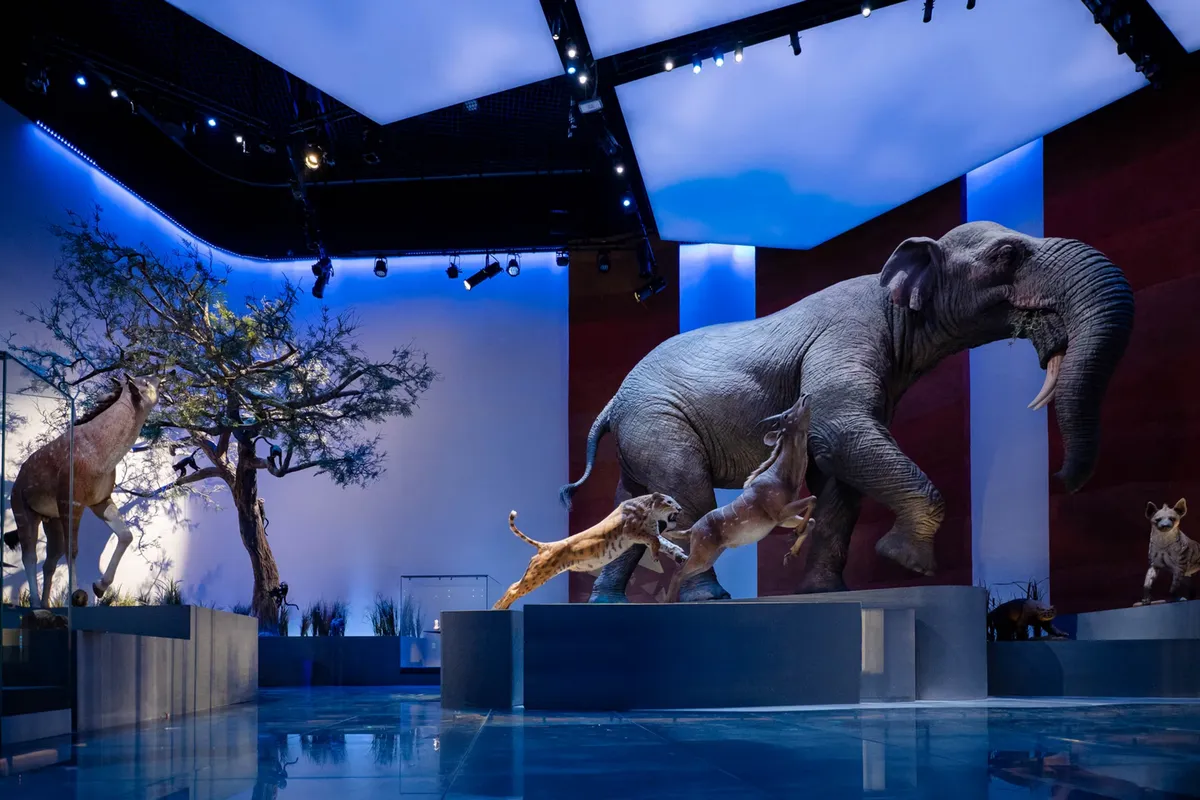 Visit the largest natural history museum in the Middle East - Photo 1.