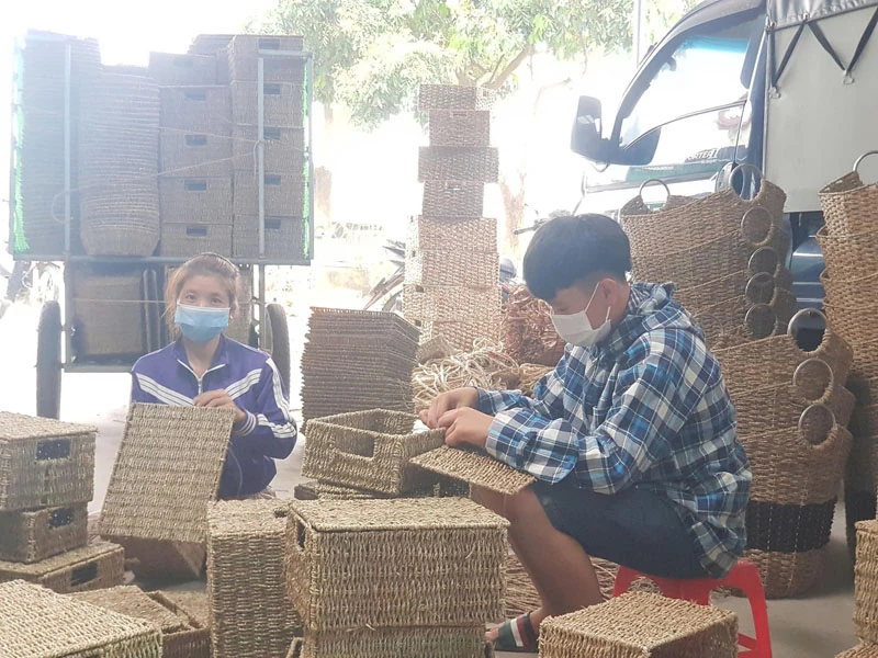 Вибирайте та розробляйте продукти OCOP, виходячи з ключових сильних сторін