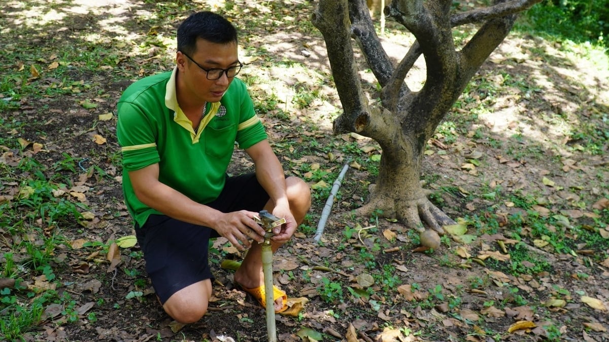 Từ ngày có máy móc hỗ trợ, anh Phương có thêm thời gian quan sát, ghi chép tình hình phát triển của vườn cây. Ảnh: Trần Phi.