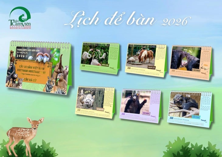 Közjegyző által hitelesített - 6. kép.