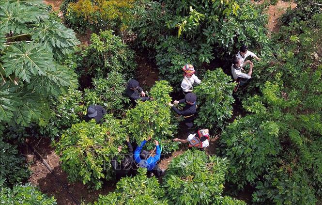 ចំណងជើងរូបថត