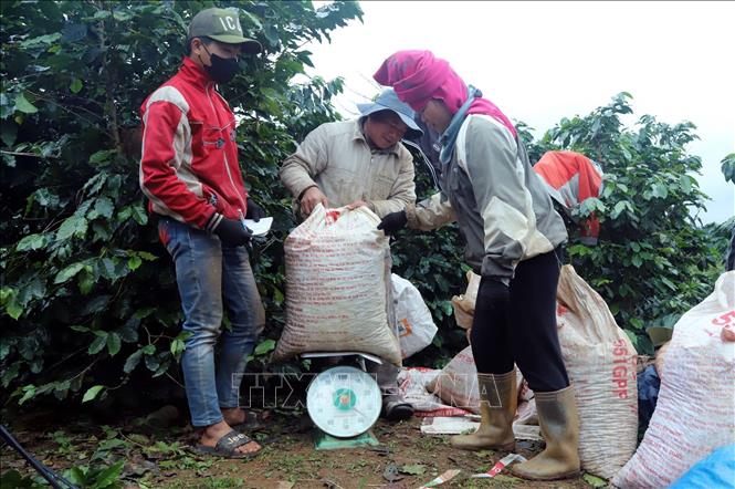 ចំណងជើងរូបថត