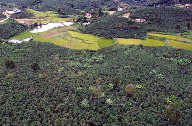 ចំណងជើងរូបថត