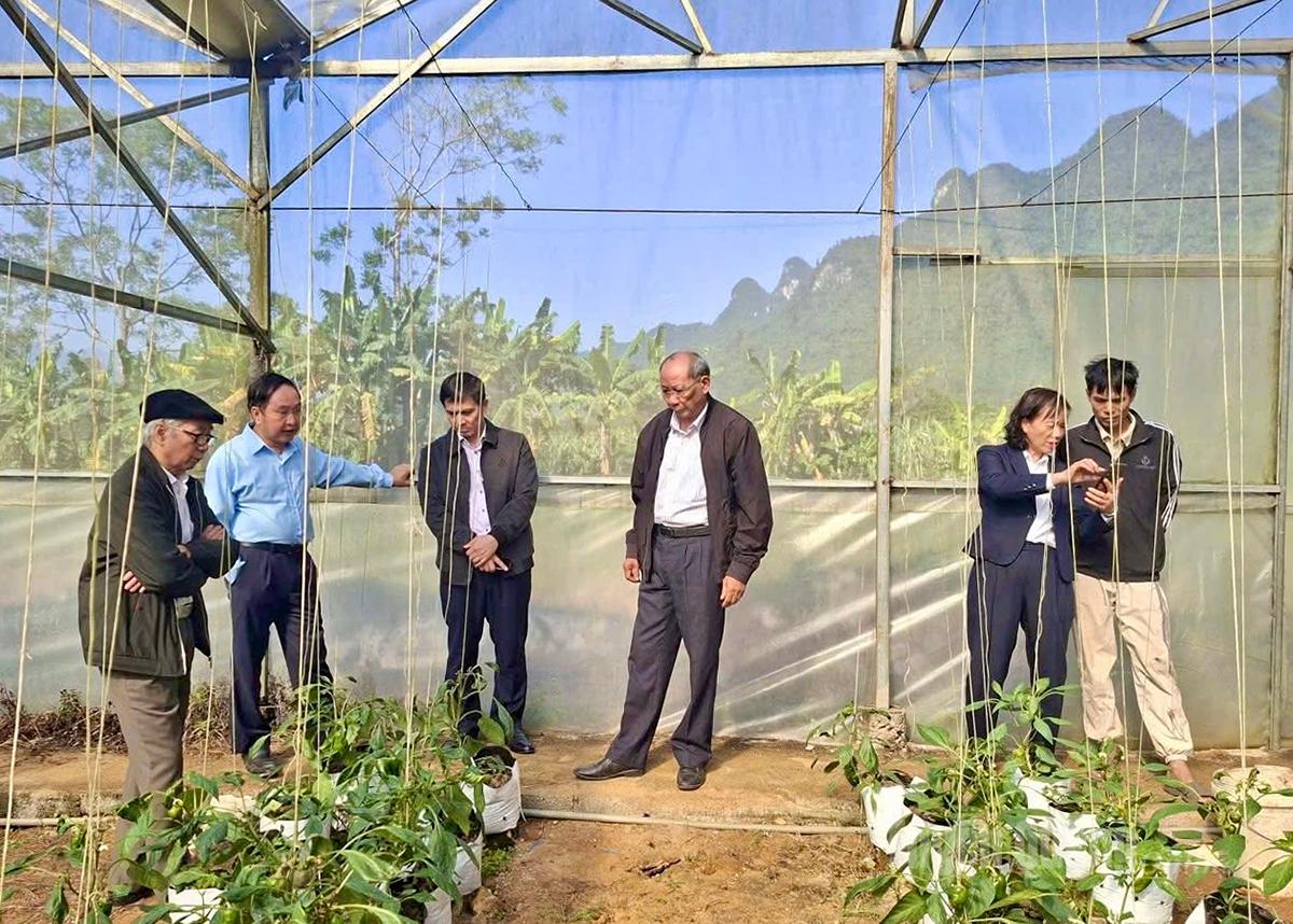 Делегация Ассоциации садоводов провинции посетила модель дома экономического развития в жилом комплексе Фонгкуанг.